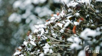 ��������� ������������ 10 ������� � ��� �� 20 �� 6 �������� ������, ���� � ����������