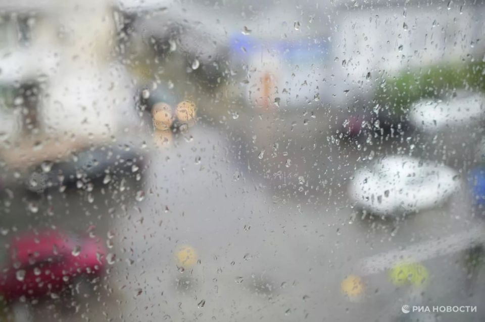 ������ �� ����� ����������� ������