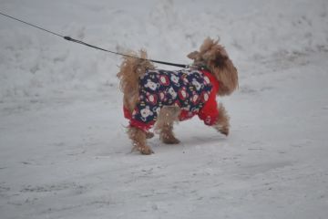 ����, ������� � ����� ������� ��������� �� 9 ������� � ���