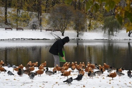 � ��� ��������� ����� 1600 ������������� ����, ���������� �� �������