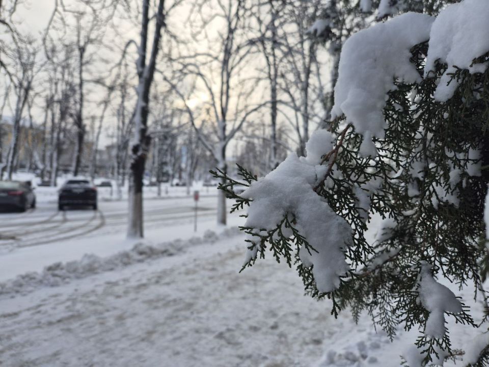 ������ ����, �������!. ��� �� �� ���� ������� �������, ������ ���� ������ ��������� ���� ������������� ������ ���