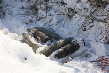 �� ����� ����������������� ���������� ������ ����� 1200 ������������� ��������� � ����� 20 �� ���������� ������� � ���