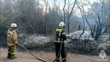 � ��� �� ����� ������������ ���� �����