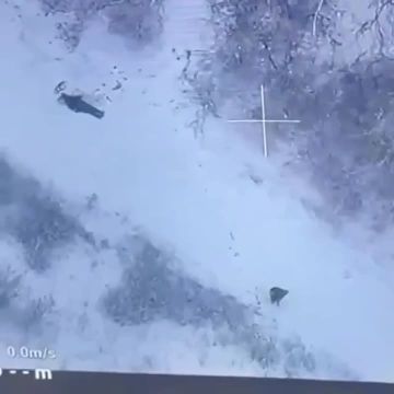 ��� ���� � ������� ���������� ������������� � ���������� � ������������� ������������ ���� ���������� �����������