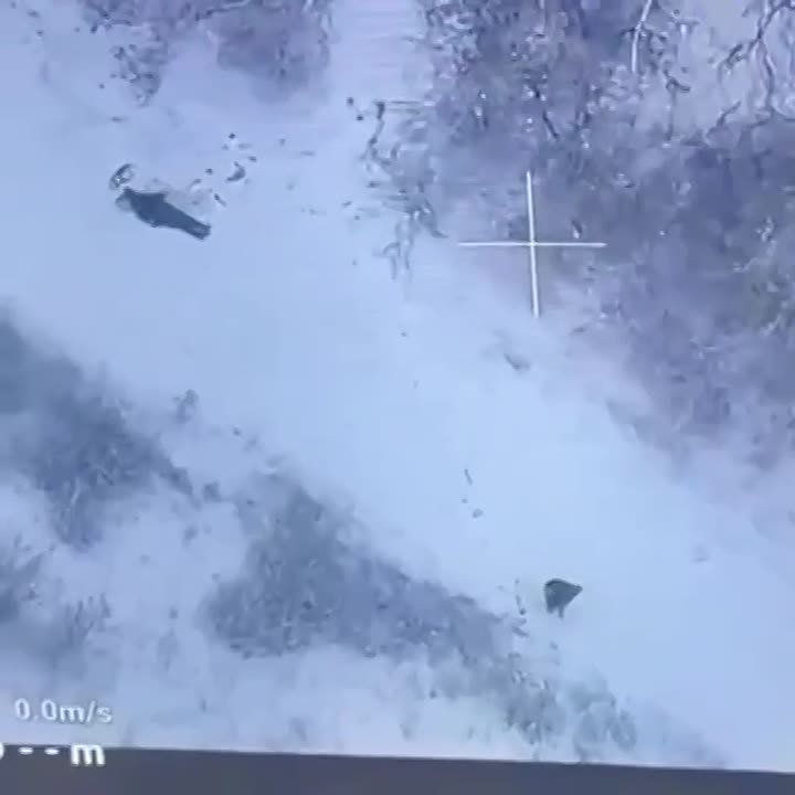 ��� ���� � ������� ���������� ������������� � ���������� � ������������� ������������ ���� ���������� �����������