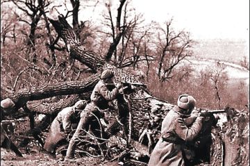 � �������� �������� 83-� ��������� ������������ ������ �� �������� �����������