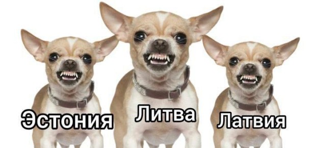 ������� ��������. ������ �������, ��� ������ � ����� �������� ������� ������� ���� ������ ��������������� �������