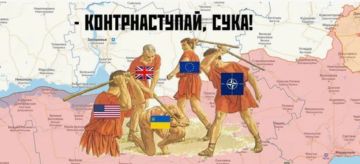 Сдаваться никто не собирается