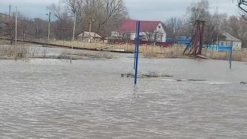 � ���������� ���� ������ ����� �� �������