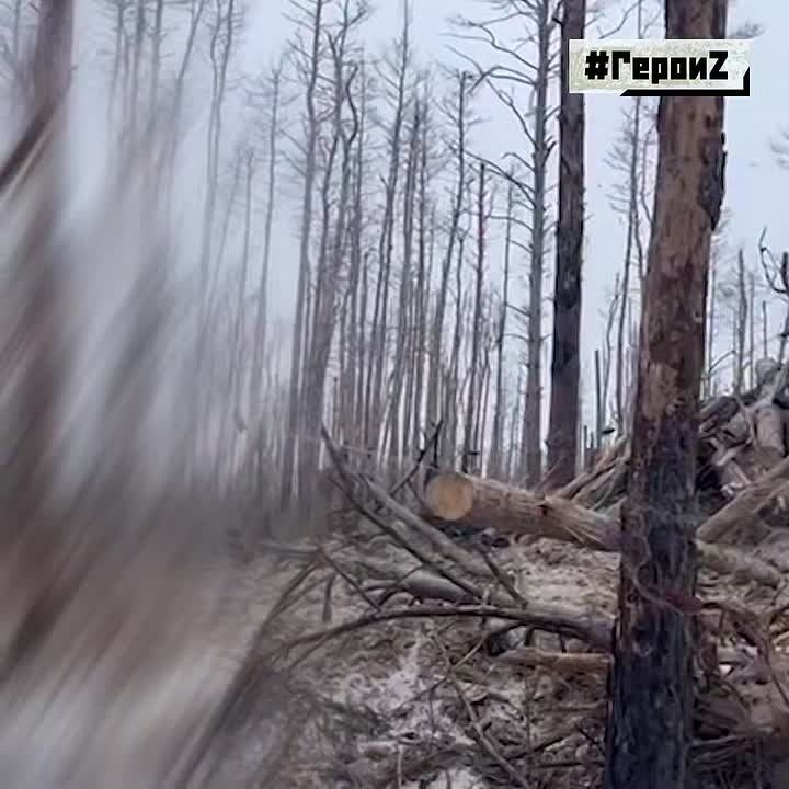 «Юмор спасает в бою, как ни странно. В тяжёлые моменты вспоминаешь дом и близких, кто ждёт там тебя», — командир танка «Шико» из 121-го мотострелкового полка