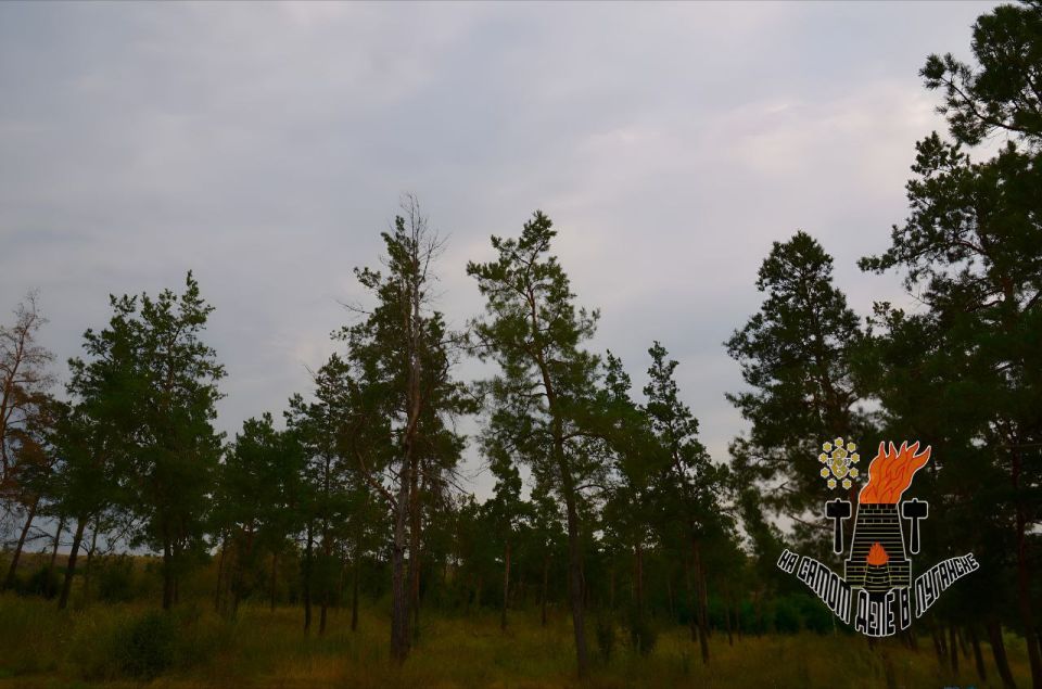 В 2026 году в Луганской Народной Республике появится 7 гектаров нового леса