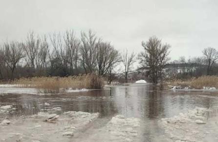 ����������� ��������� ��������� ����� ���� ������� � ���������� ������