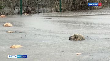 � ����� ������� ��� � ���������� �����������