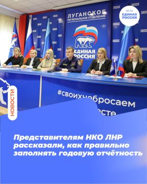 Представителям НКО ЛНР рассказали, как правильно заполнять годовую отчётность
