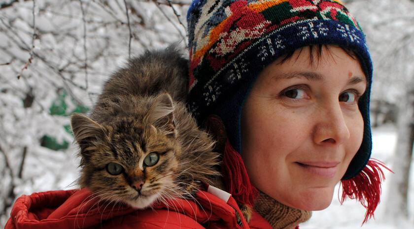 Более 40 бездомных животных были стерилизованы с начала этого года в Луганске в рамках комплексной программы «Операция Сарафанчик»