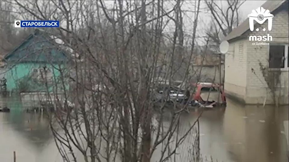 Уровень воды поднялся в Старобельске — заливает парк, дома и детский пляж