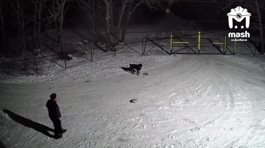 ������ �������� ������ �� ������� ����� � ������� �������� �� �� ������� ������ � ��������