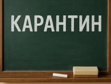 В ЛНР из-за гриппа и ОРВИ на карантин закрыли 11 школ и один колледж