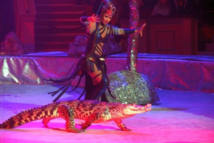 � 7 ����� � ��������� ����� ����� ��������� �� ����������� ���� ����� ���ʻ