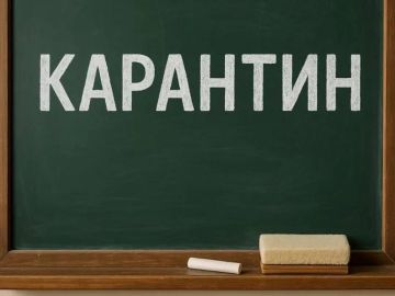 В ЛНР из-за гриппа и ОРВИ на карантин закрыли 11 школ и один колледж