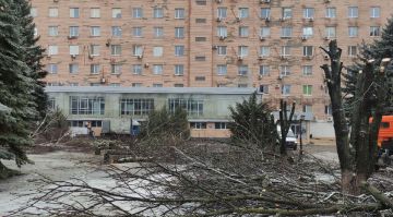 ����������� �������� ��������� �������� � ���� � 2026 ���� �������� ���