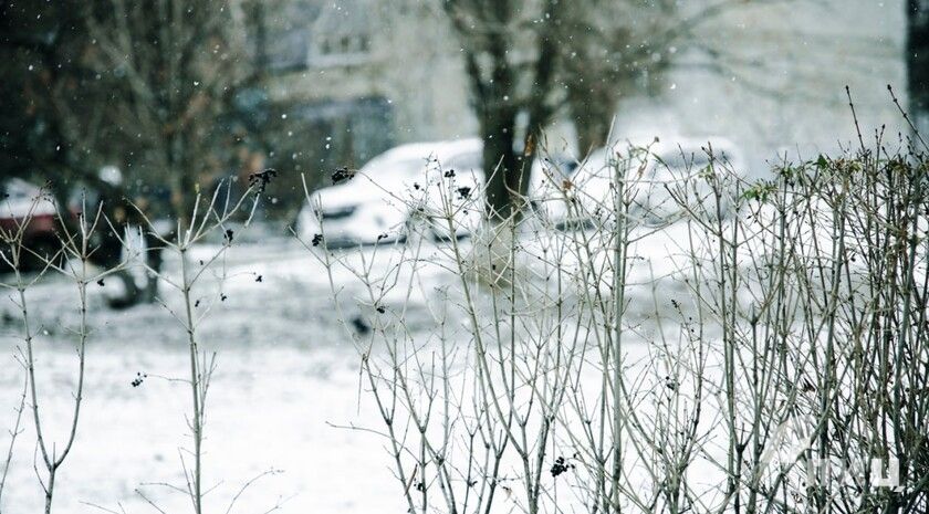 ��������� ������������ 1 ����� � ��� �� 8 �������� �����, ����� � ����������