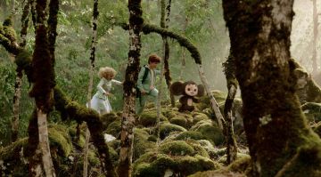 ��������� �����: ��� � ����� ���������� � �������� �� �������� 28 �������-1 �����