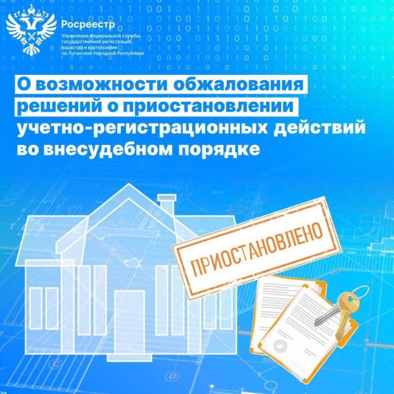 � ����������� ����������� ������� � ��������������� ������-��������������� �������� �� ����������� �������