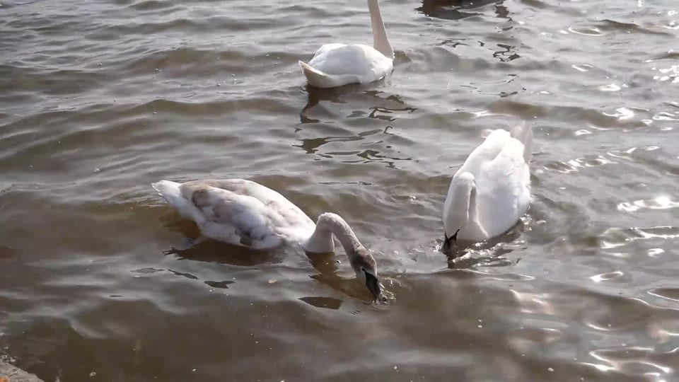 ����� ������!. ��� ������������� � ������ �� ������������ ������������� ...