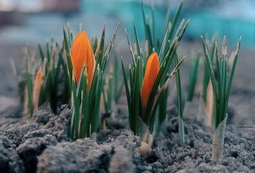 Дождливое начало зимы: погода в ЛНР 3 марта