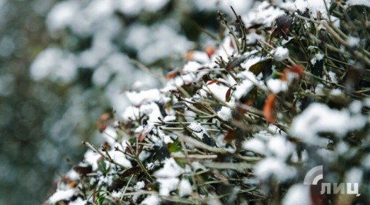 Синоптики прогнозируют 4 марта в ЛНР до 7 градусов тепла и дождь с мокрым снегом