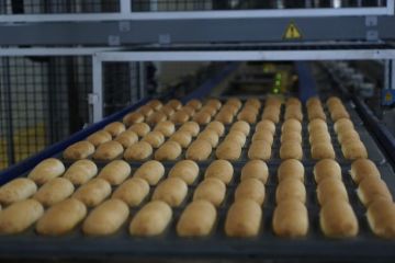 При поддержке ВТБ луганское предприятие закупит 28 тысяч тонн зерна