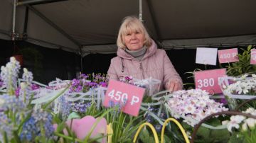 ��� �������: ��������� ��������������� � ���������� �������������� �������� ��� ����������� ��������� ������������� ��������� �������� � ����� �� ������ �������� �������, ������� �������� � �������� ��������� �������