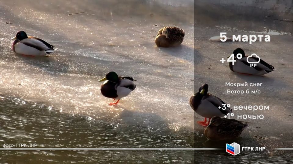 Доброе утро, Луганская Народная Республика!
