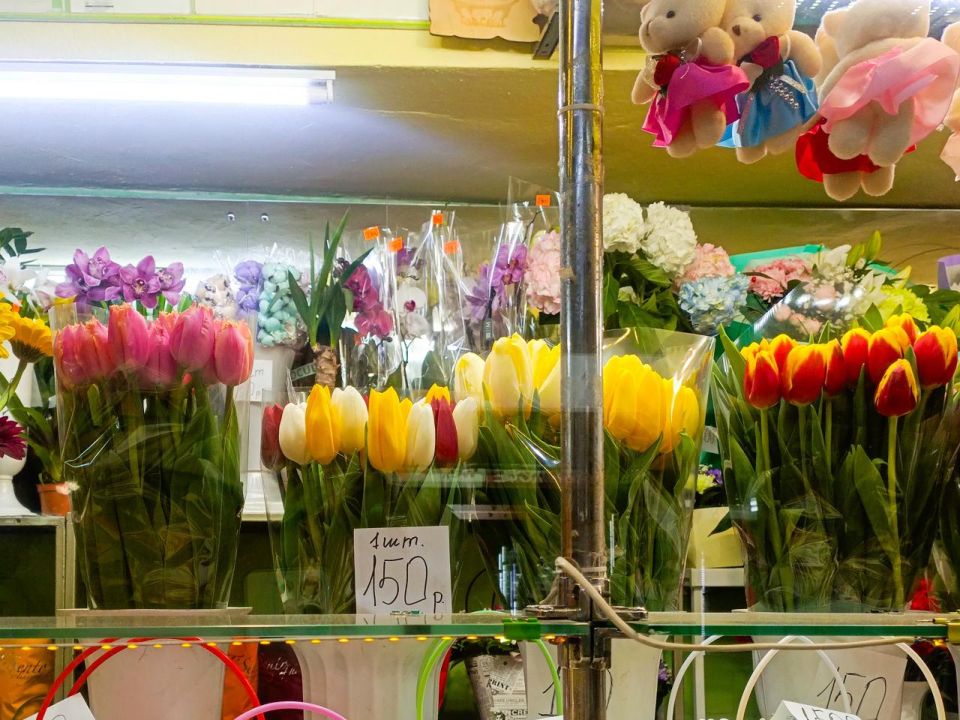 �� 8 ����� �������� ����� ������