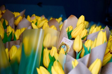 ������������ � ����� 8 �����