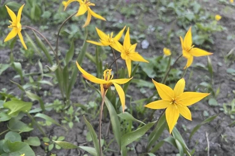 � ������� ������ �������� ����� �� +11 �������� � �����������, 9 �����