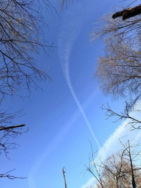 �������� ������ ������������