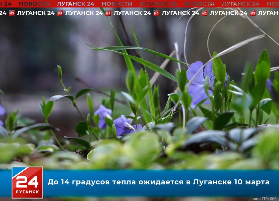 До 14 градусов тепла ожидается завтра в Луганске