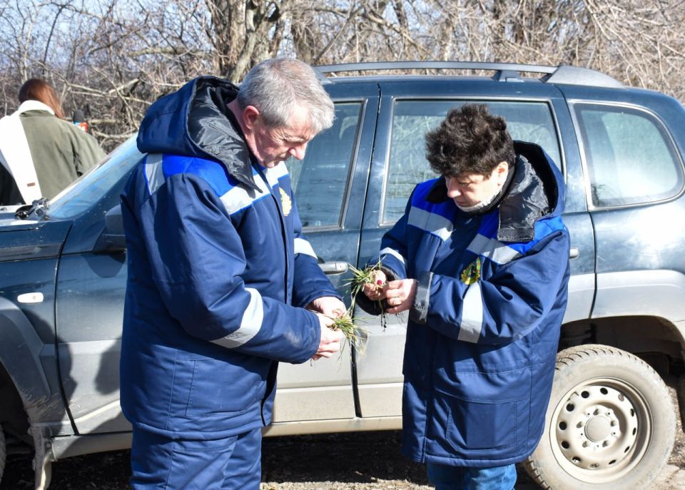 ����������� ��������������� ������������ ������� � ���������� ������� ���� ���������������� ������� ����� ��������� ���������