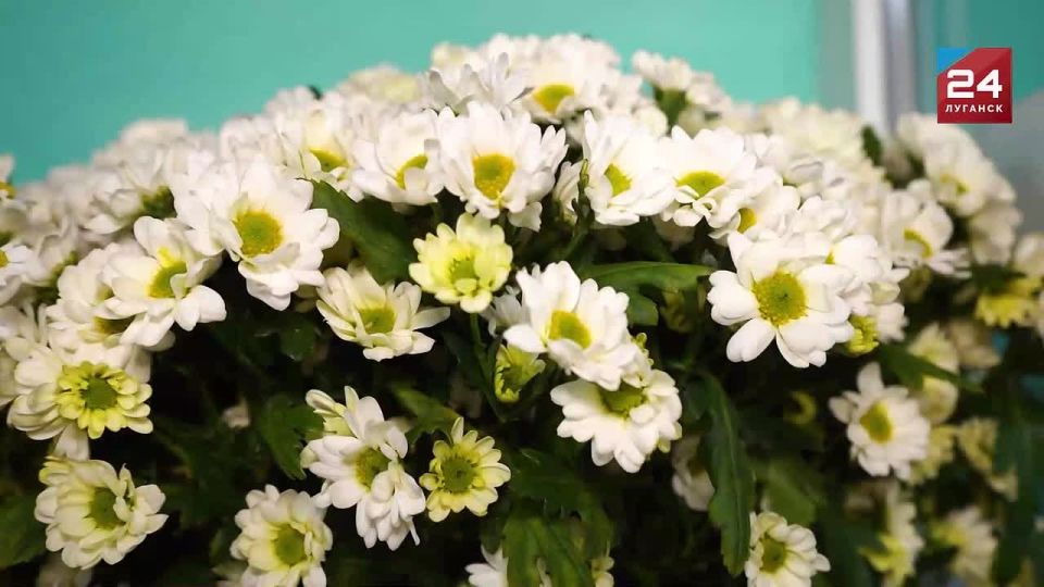 Идеальный букет: советы от флористов