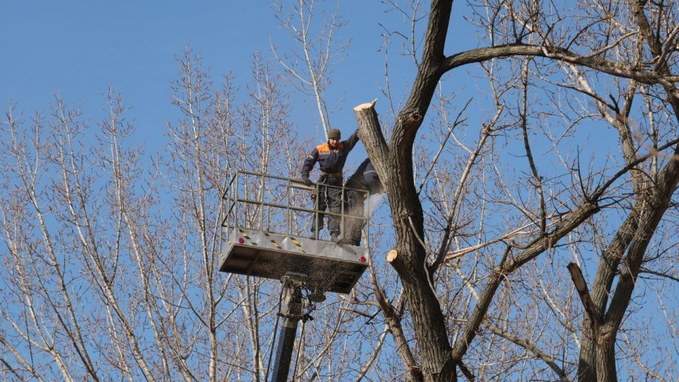 ������������� �������� ���������� � ������� �����������, ������� � ��������� �������� � �����������