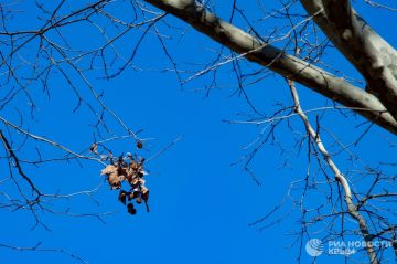 ������ �� ����� ����������� ������