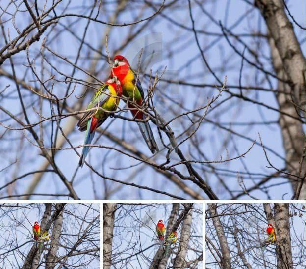 � ������ �������� �������� ����� ������������� ��������