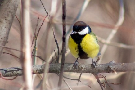 �������� � ��� �������� ������ �� +13 ��������