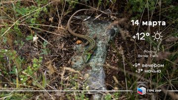 ������ ����, ��������� �������� ����������!