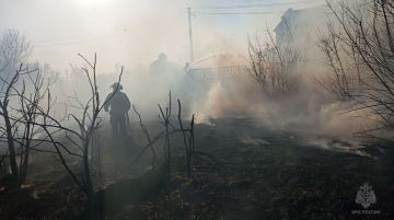 Спасатели потушили траву и не дали огню добраться до строений в Метёлкино