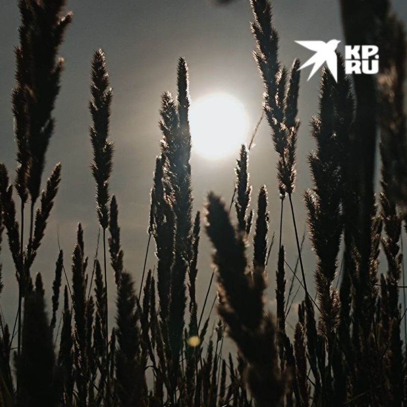 � ����� ��� ���������� ��������� ����� ��������� ������ �����