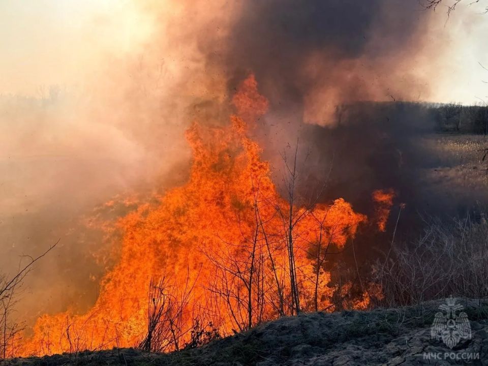 ����������� ������ ��������� � ���