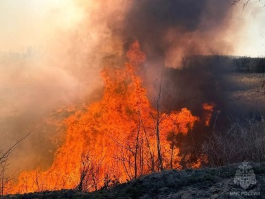 Сухотравные пожары вернулись в ЛНР